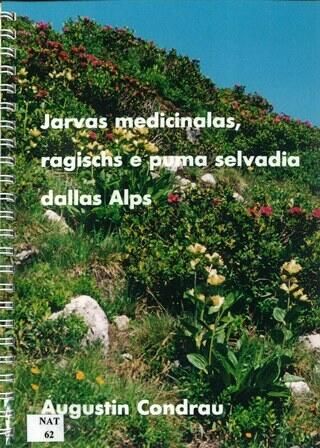 Jarvas medicinalas, ragischs e puma selvadia dallas Alps