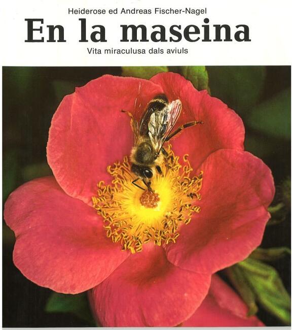 En la maseina